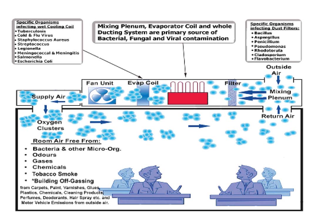 Air oxygen purification and reduction system