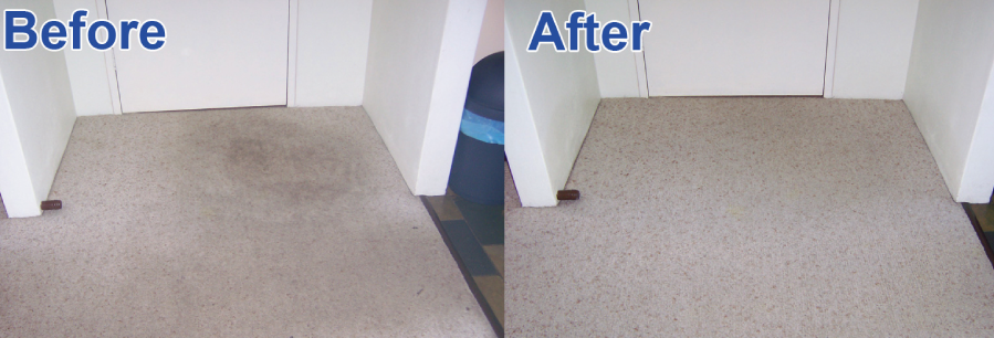 Industrial level cabin sanitation results before and after