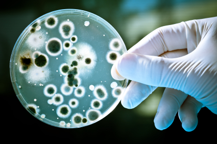 Marine Industry sanitation services against harmful bacteria and germs